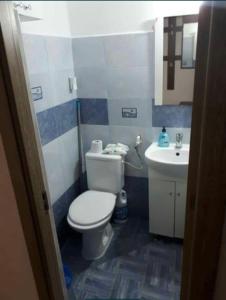 un baño con inodoro y lavabo en Apartament Zeyn, en Buzau