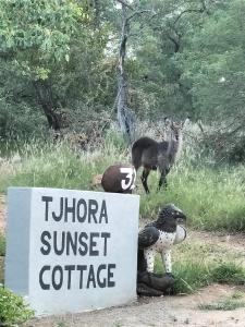 un cartello con due cervi in un campo e un cartello con di Tjhora Sunset Cottage a Cambridge