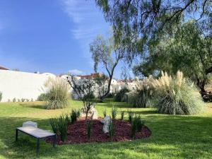 a park with a bench in the grass at EL Colibrí in San Miguel de Allende