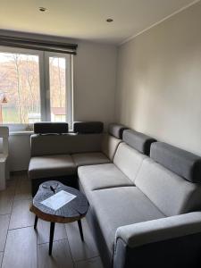 Posezení v ubytování Ośrodek Ustronie w Myczkowcach