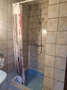 a bathroom with a shower with a tub and a sink at Chevaux au Soleil in Fresse +45 photos