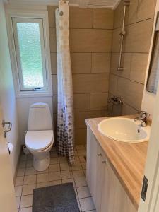 a bathroom with a toilet and a sink and a window at Sommerhus i Rødhus Blokhus in Pandrup