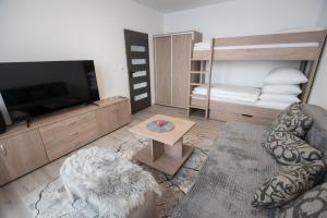 TV a/nebo společenská místnost v ubytování Apartmán Radvanička