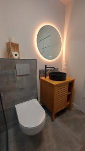 a bathroom with a toilet and a sink and a mirror at Au Clair De Lune in Pléneuf-Val-André +18 photos