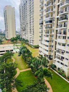 an aerial view of a park with palm trees and buildings at Cozy 3 BHK fully furnished apartment in Cochin in Kakkanad +33 photos
