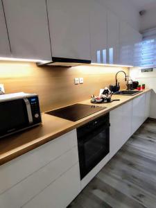 Kuchyň nebo kuchyňský kout v ubytování Aneira Suite in Chalkida