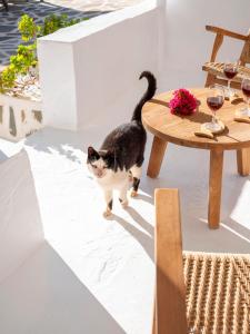 Haiwan peliharaan atau haiwan-haiwan peliharaan yang menginap dengan tetamu di Chanos Luxury Suites Paros