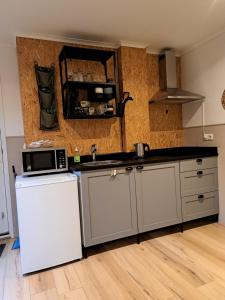 a kitchen with a sink and a microwave at Bed & Breakfast Hellendoorn in Hellendoorn