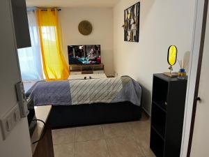 a bedroom with a bed and a tv in it at NANA- Appartement B23-Cuisine équipée- WIFI- CLIM-Terrasse in Cayenne