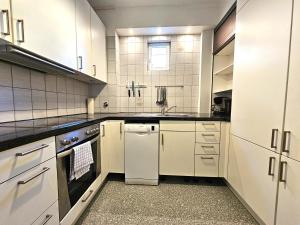 Kuchyň nebo kuchyňský kout v ubytování Representative City Villa