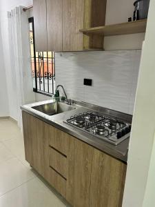 Kuchyň nebo kuchyňský kout v ubytování Hotel Lesus