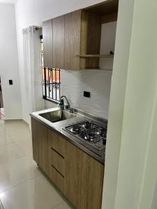Kuchyň nebo kuchyňský kout v ubytování Hotel Lesus