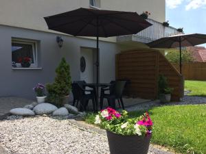 Ogród w obiekcie Willa Aleksandra - Apartamenty