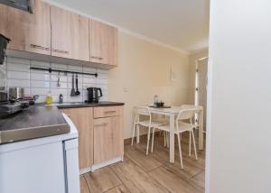 Kuchnia lub aneks kuchenny w obiekcie Willa Aleksandra - Apartamenty