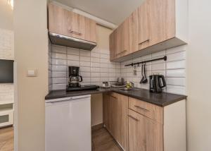 Kuchnia lub aneks kuchenny w obiekcie Willa Aleksandra - Apartamenty