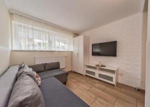 Telewizja i/lub zestaw kina domowego w obiekcie Willa Aleksandra - Apartamenty