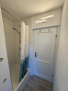 a bathroom with a shower and a white door at Haus Sonnenschein in Zingst in Zingst +18 photos