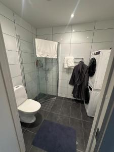a bathroom with a toilet and a washing machine at Luxury Apartment,close to city in Örebro +19 photos