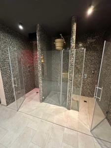 兹拉蒂博尔Ilic Prestige wellness & spa Zlatibor的客房设有玻璃墙和淋浴