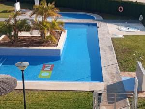 an overhead view of a swimming pool with palm trees at ELIO Terrazas de Campoamor in Orihuela Costa