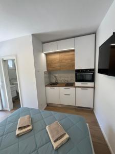 Kuchyň nebo kuchyňský kout v ubytování Green oasis for Two, 30 meters from sea