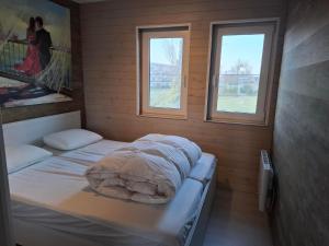 a small room with two beds and two windows at Dahlia 107 - zonnig en volledig uitgerust appartement in De Haan