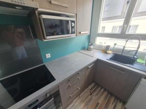 a kitchen with a sink and a microwave at Spacious 1 bedroom apartment near Paris in Garches