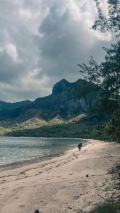 a person walking on a beach next to a body of water at Pitake Lodge 2 in Nuku Hiva
