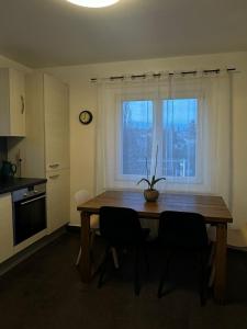A cozinha ou kitchenette de Séjour calme près du Léman