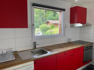 Kuchyň nebo kuchyňský kout v ubytování Chalet avec vue panoramique alpes et lac