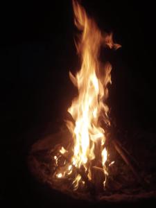 Gallery image of Varshinicottage kothkiri in Kotagiri