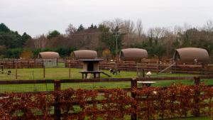 a farm with some animals in a field at Hidden Acres- Luxury Glamping Pod in Malahide