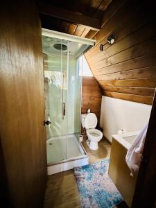 a bathroom with a glass shower and a toilet at La Encantad Cabañas - Amanecer in Cajamarca
