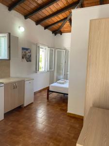 a large room with a bed and a kitchen at Villa Elpiniki in Troulos