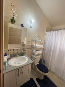 ein Badezimmer mit Waschbecken, Toilette und Dusche in der Unterkunft Symone Palms Retreat in Montego Bay