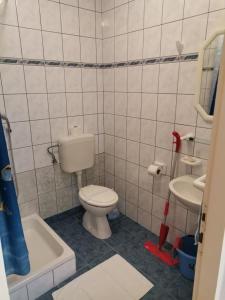 a bathroom with a toilet and a sink at Apartments and rooms with parking space Lopar, Rab - 23825 in Rab +41 photos