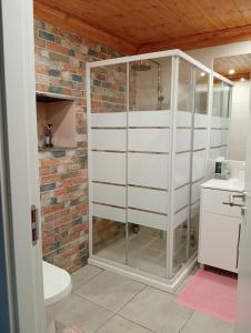 a bathroom with a glass shower and a toilet at Casinha das Estrelas in Cerejeira