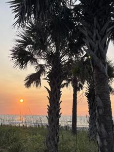 マートルビーチにあるPalace near the beachの夕日を背景に描かれたヤシの木