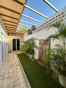 Κήπος έξω από το Casa Amikoo