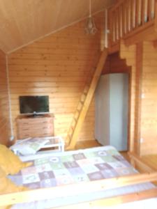 TV a/nebo společenská místnost v ubytování chalet le cocon de bois