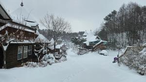 冬天的Elf Resort Hotel