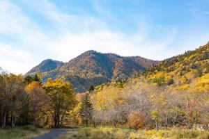 ホテルの近くで見られる自然の景観