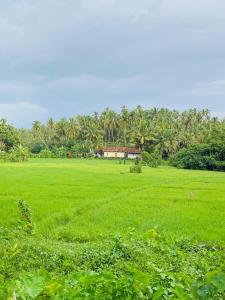 Fotografie z fotogalerie ubytování Azure Marina v destinaci Ratgama Hegoda