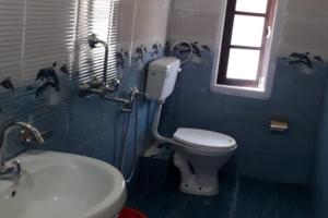 a bathroom with a toilet and a sink and a window at Mairung Gaon Farm Stay in Rishop