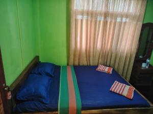 a bed in a green room with two pillows on it at Rafters Guest House in Kitulgala