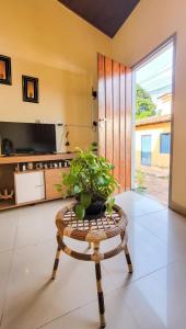 a room with a table with a potted plant on it at Hospedagem Casa Da Lia in Lençóis