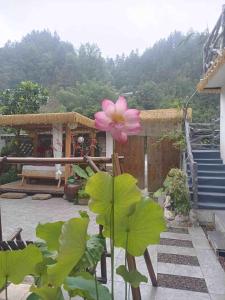 Сад в Xiangzixi Bed and Breakfast