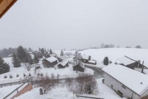 Tga Pilu a cozy and modern chalet on Savognin Ski Slopes with wonderful mountains view v zimě