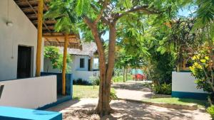 a tree in the courtyard of a house at Complexo Alemanha - Vilanculos Backpacker in Vilanculos