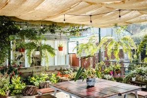 un patio con una mesa y muchas plantas en Kinda Blue Room, en Xuan An